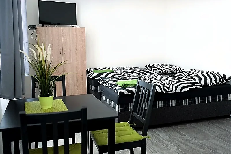 Pokoj s lůžky, stolem se židlemi, skříní a televizorem